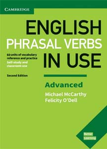 phrasal verb in use advanced